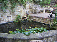 Water Features 08